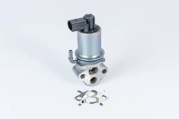 BorgWarner (Wahler) AGR-Ventil (710788D0) KFZ-6983193 Neue Kollektion