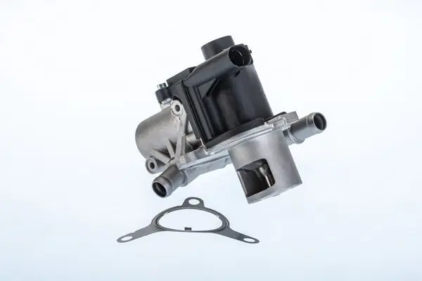 Finale Aktion BorgWarner (Wahler) AGR-Ventil (710965R) KFZ-6983224