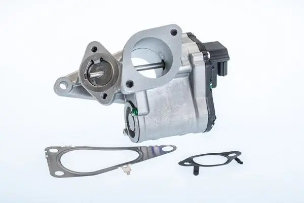 BorgWarner (Wahler) AGR-Ventil (710968R) KFZ-6983225 Sonderangebot